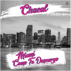 Chacal - Miami Como Te Descargo
