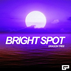 Dragon Tree - Bright Spot