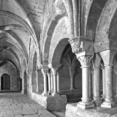 O Primus Homo Coruit