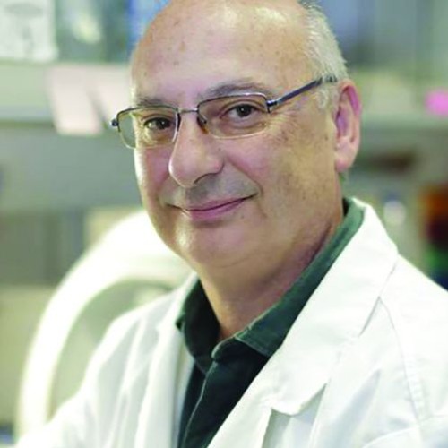 Ep. 1: Franciso Mojica, salt-lake secrets