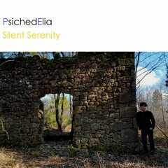 Silent Serenity