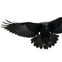 8ZERO8 type beat [FREE]