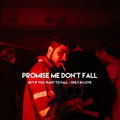 Fallen Fox - Promise me don't fall