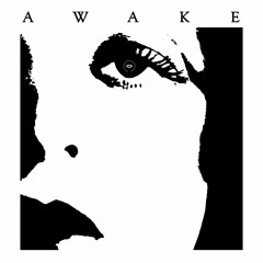 Awake by The Secret French Postcards