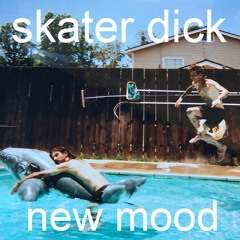 Skater Dick