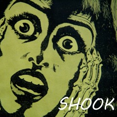 Shook [Prod. Kin Rich]