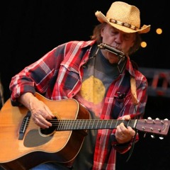 Neil Young - Everybody Knows This Is Nowhere (Acoustic Cover)