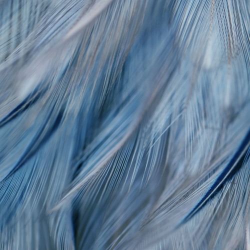 Skysia - Feathers Mix 01