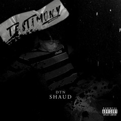 TESTIMONY FREESTYLE (official IG @dtn_shaud)