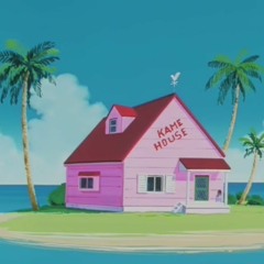 Groove Idol - kamehouse カメハウス