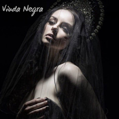 Viuda Negra