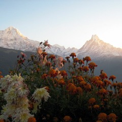 Sanu Kaha Chhau Nepali Lok Dohori Song