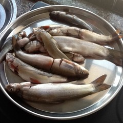 Machi Marana Hey Dai Ho