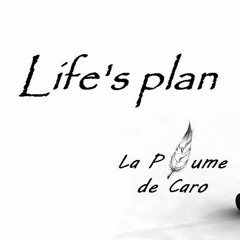 Flash Mullin - Life's Plan - (Draft)