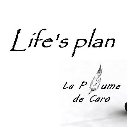 Flash Mullin - Life's Plan - (Draft)