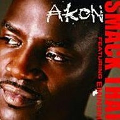 Smack That - Akon (Acoustic)