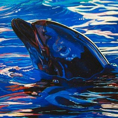 Black Dolphin [Instrumental] CHILL TYPE BEAT