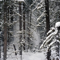 Frozen