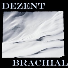 montagnez 05 | Dezente Schneebretter & brachiale Wummgeräusche