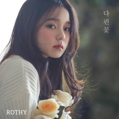 로시 (Rothy) - Blossom Flower (다 핀 꽃)