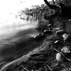 The Black Sea Birds (2011)