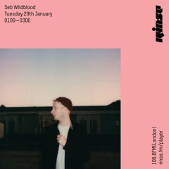 Seb Wildblood - 29th January 2019