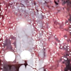 Burger King double cheese burger