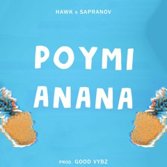 Roumi Anana Instrumental - Hawk x Sapranov