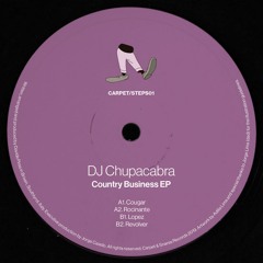 A2. DJ Chupacabra - Rocinante
