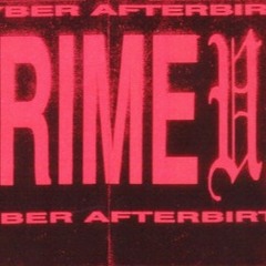 CRIME UNIT - 02 Cyber Afterbirth vol. 1