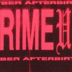 CRIME UNIT - 08 Cyber Afterbirth vol. 1