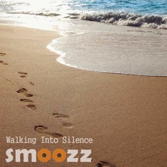 Walking into silence