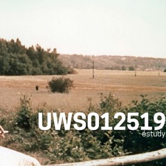 Ultrwizardsword.net (01/25/19) - éstudy