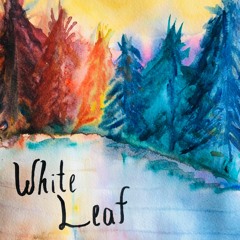 Canopy Sounds 38: White Leaf