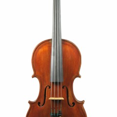 3370 / Italian violin by Stefano Caponnetto - € 5,500
