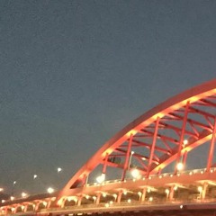 cross section the night