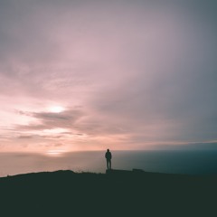 New & hot: Ambient
