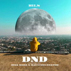 DND [DO NOT DISTURB] - BILS featuring Kida Kudz & Wavythecreator