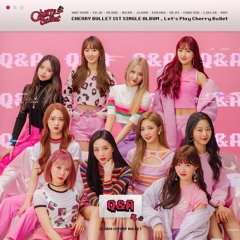 [short cover] Cherry Bullet(체리블렛)- Q&A