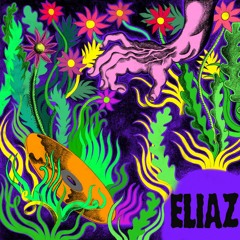 #3 - Eliaz