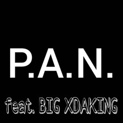 P.A.N. feat. BIG XDAKING