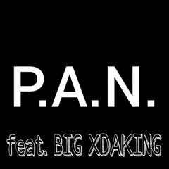 P.A.N. feat. BIG XDAKING