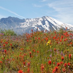 Mt St Helens Update