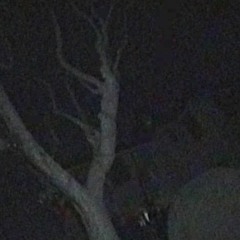 04 Nothing More Than That