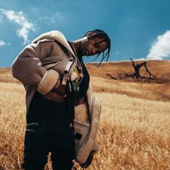 Older / Unknown Travis Scott