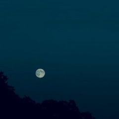 MODEST MOON - CHIEF (FT.현우)