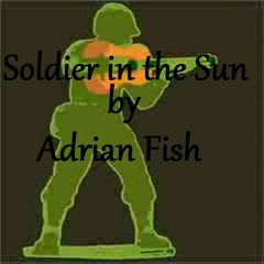 Soldier In The Sun - Adrian Fish