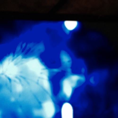 A. Side  : February 04 2019-2020