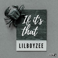 LilBoyzee - If It's That