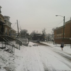 1.24.19 Loose With Max Primitive Pleasures